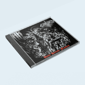 Ak-11 & Aasgard - Unto Heretic Flames