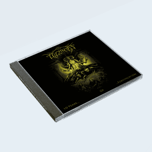 Dizziness - 10 Years Of... Fortification