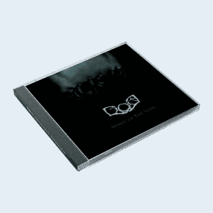 Ljuska - Vessel Of The Void