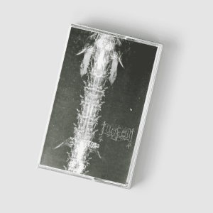 Lucifugum - Vector 33